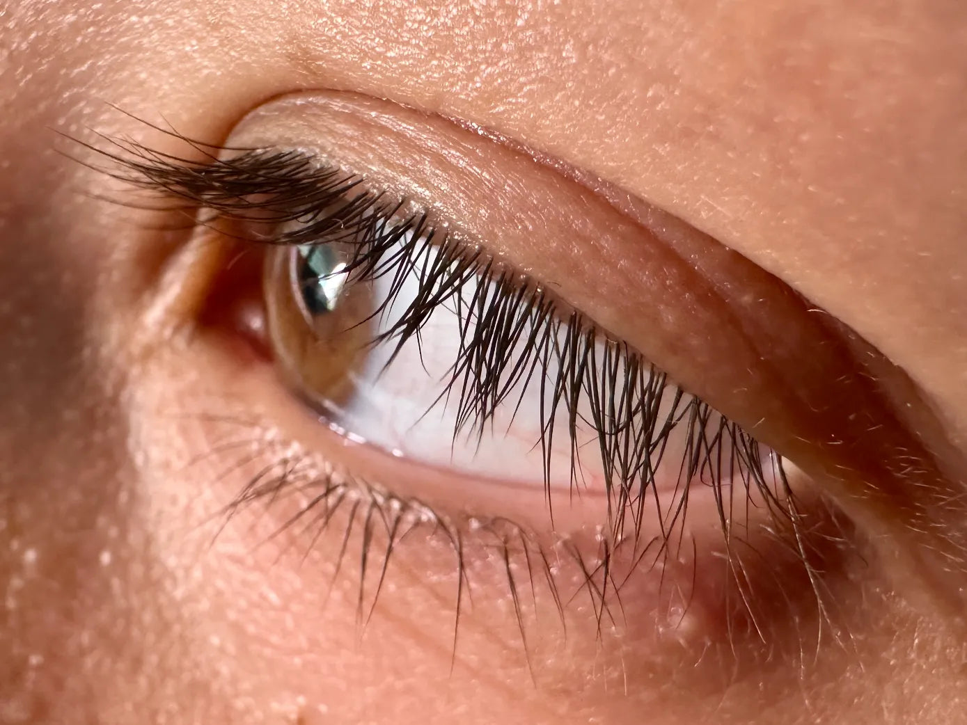 Evobeauté